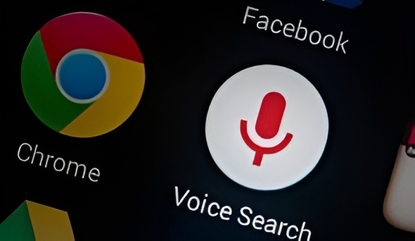 Google Voice Search interface
